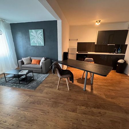 Mon Palmier Grand Appartement Parking Un-Sejour-A-Part 梅斯 外观 照片