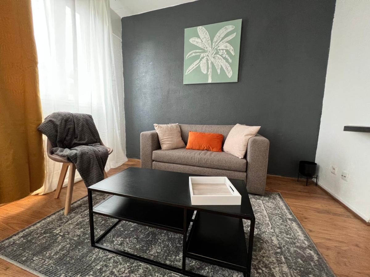 Mon Palmier Grand Appartement Parking Un-Sejour-A-Part 梅斯 外观 照片