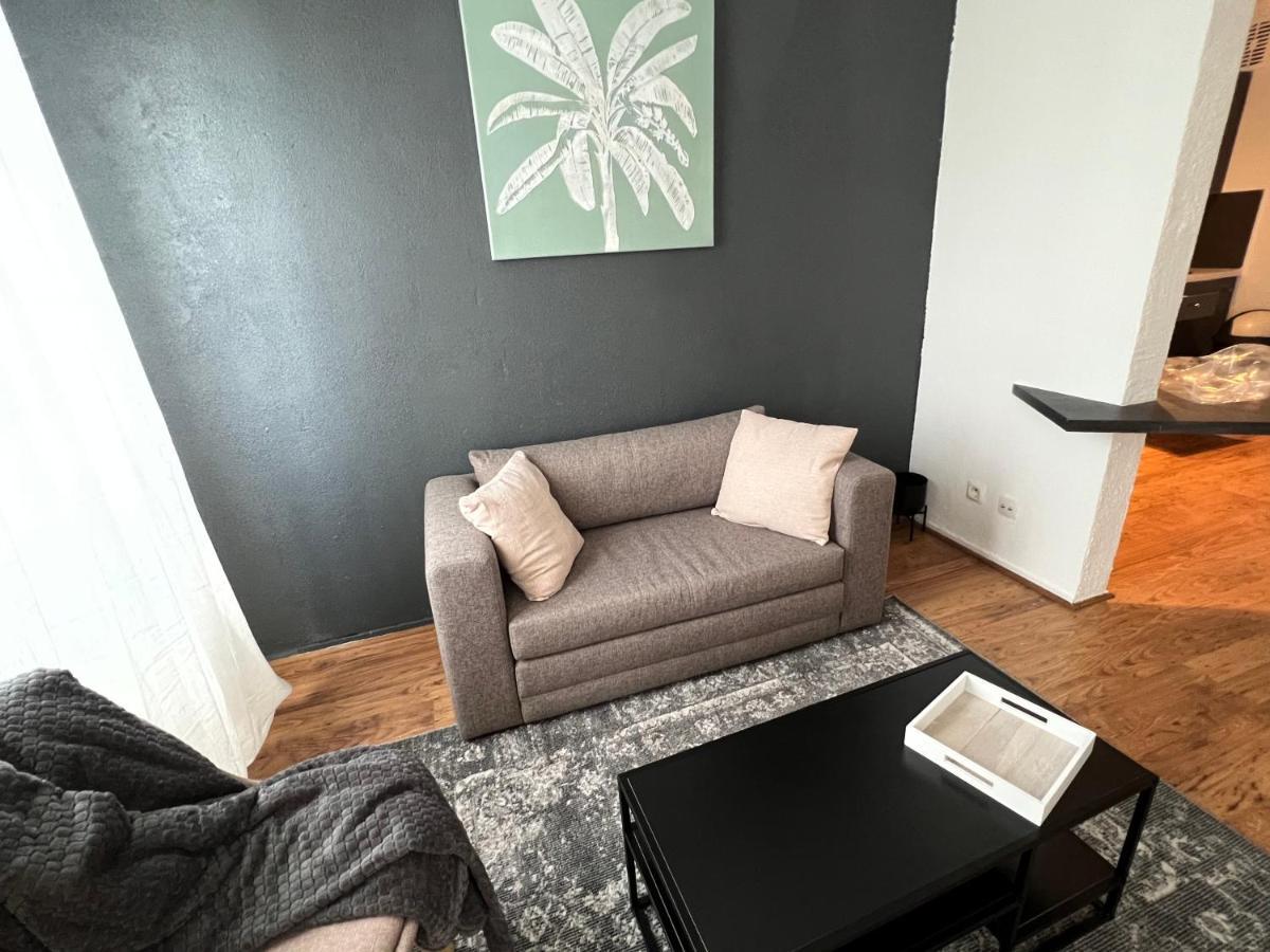 Mon Palmier Grand Appartement Parking Un-Sejour-A-Part 梅斯 外观 照片