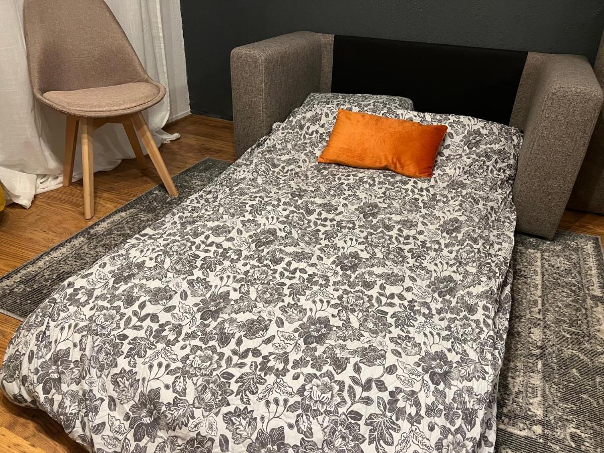 Mon Palmier Grand Appartement Parking Un-Sejour-A-Part 梅斯 外观 照片
