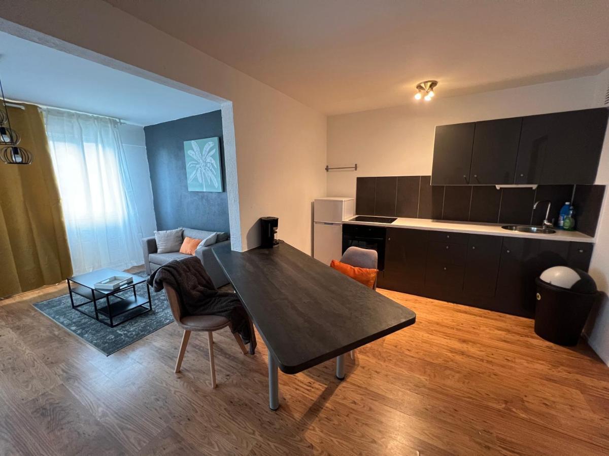Mon Palmier Grand Appartement Parking Un-Sejour-A-Part 梅斯 外观 照片