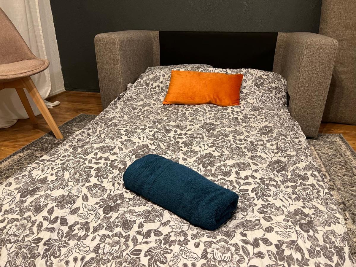 Mon Palmier Grand Appartement Parking Un-Sejour-A-Part 梅斯 外观 照片